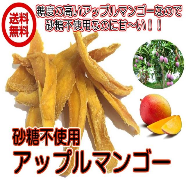 ドライアップルマンゴー 砂糖不使用 1kg／500gパックが2袋入り 送料無料 ドライマンゴー （アップルマンゴー500g×2P） ドライフルーツ チャック袋 業務用