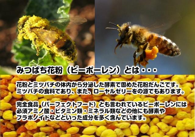 ビーポーレン 10kg／1kgパックが10袋入り スペイン産 食用花粉 スーパーフード 送料無料 （ビーポーレン1kg×10P）ハチミツ はちみつ 純正 蜂蜜 天然 業務用_1