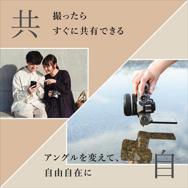 Nikon ニコン Zfc ボディ シルバー【JAN:4960759906311】