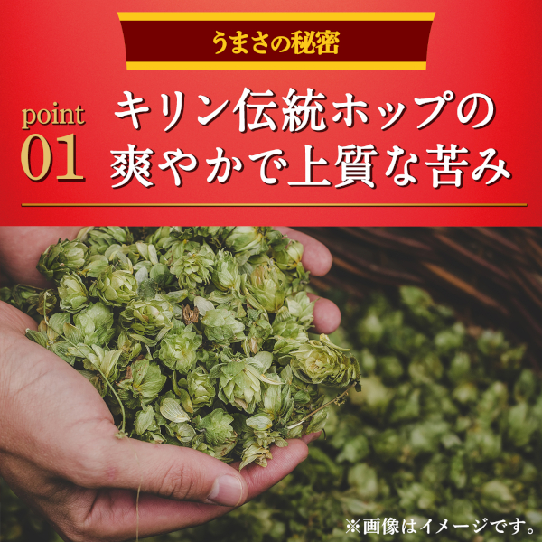 新類概念 麒麟 本キリン 350ml×48本(2入れもの) [貨物輸送無料※構成成分領域は除く]