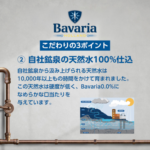 エントリー不要 誰でもP5倍 4/30 9:59まで　ノンアルコールビール ババリア Bavaria 0.0％ 330ml×96本(4ケース)[送料無料※一部地域は除く]_10