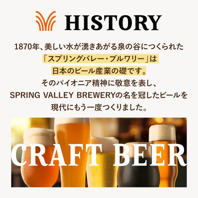 ビール クラフトビール 送料無料 キリン スプリングバレー SPRING VALLEY BREWERY シルクエール 白 500ml×24本(1ケース)[送料無料※一部地域は除く]_3