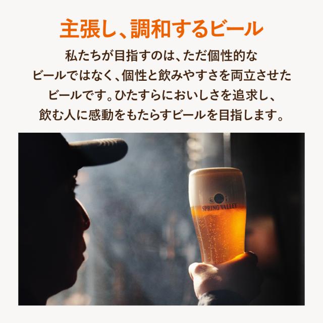 ビール クラフトビール 送料無料 キリン スプリングバレー SPRING VALLEY BREWERY シルクエール 白 500ml×24本(1ケース)[送料無料※一部地域は除く]_4