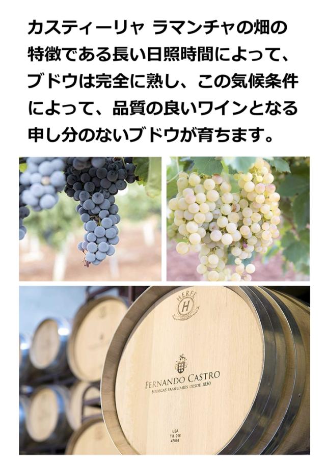 ワイン wine 箱ワイン セニョリオ デ マレステ カベルネ ソーヴィニョン BIB 3L×6箱 (1ケース) [送料無料※一部地域は除く]_7