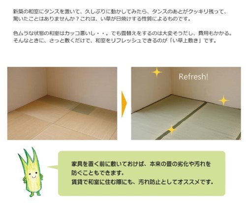 純国産 い草 上敷き カーペット 双目織 『草津』 本間8畳(約382×382cm） 【北海道・沖縄・離島 送料別】_1