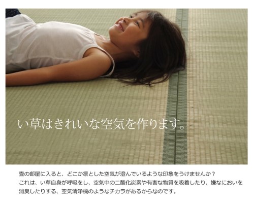 純国産 い草 上敷き カーペット 双目織 『草津』 本間8畳(約382×382cm） 【北海道・沖縄・離島 送料別】_6