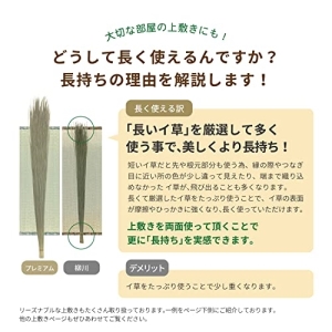 【新生活】 おもてなし い草カーペット 雅（みやび） 本間8畳 (382cm × 382cm) 【取寄商品】【北海道・沖縄送料別】_2