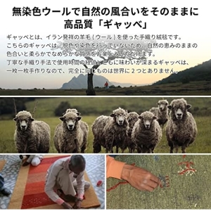 ブラック 約140X200cm ギャッベ ラグ 「Lorri BUFFD L17」 270055050 (無染色ブラック) (メーカー取り寄せ) (北海道・沖縄送料別) 【新生活】_2