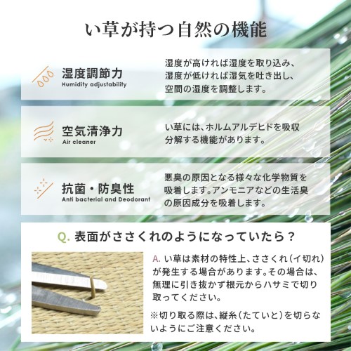畳付き収納スツール ブラウン RUD-1149BR (約)幅120×奥行60×高さ25cm 【北海道・沖縄・離島 送料別】_10