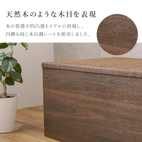 畳付き収納スツール ブラック RUD-1158GR (約)幅60×奥行60×高さ45cm 【北海道・沖縄・離島 送料別】 シューズラック