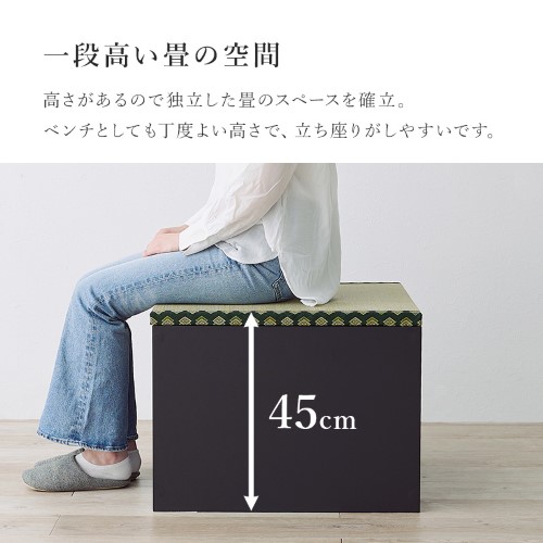 畳付き収納スツール ブラック RUD-1158GR (約)幅60×奥行60×高さ45cm 【北海道・沖縄・離島 送料別】 シューズラック
