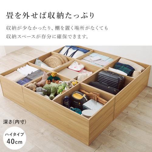 畳付き収納スツール ブラック RUD-1158GR (約)幅60×奥行60×高さ45cm 【北海道・沖縄・離島 送料別】 シューズラック