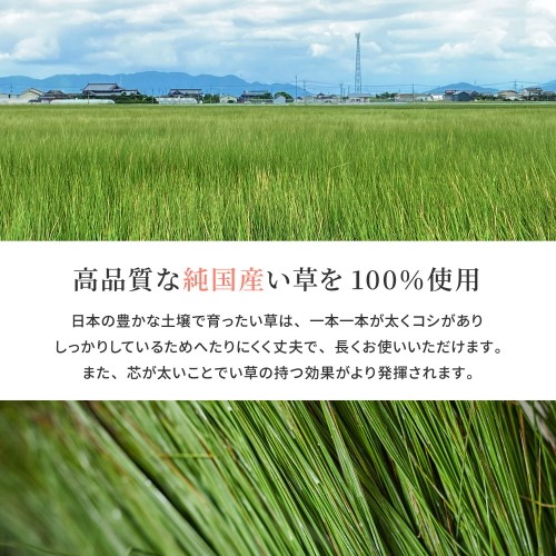 国産い草カーペット　清涼　本間8畳　ベージュ　約382×382cm 【北海道・沖縄・離島 送料別】_2