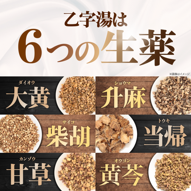 【第2類医薬品】 ピーチラック錠 乙字湯 1袋 540錠 30日分 漢方 漢方薬 痔 いぼ痔 切れ痔 脱肛 便秘 痔の薬 漢方生薬研究所_5