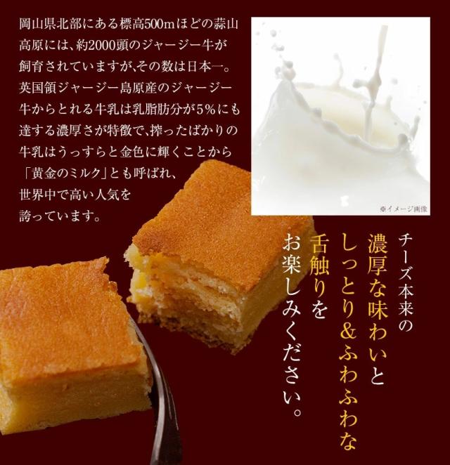 蒜山チーズケーキ 1袋10本入り 送料無料 お試し スイーツ スティックケーキ ナチュラルチーズ 使用 3 7営業日以内に発送予定の通販はau Pay マーケット せとうち風土