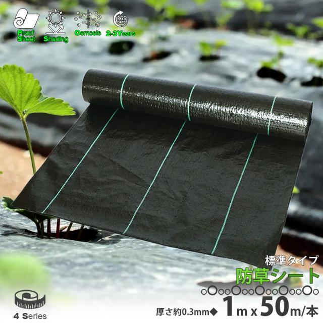 【新品】本格ポリエステル不織布 防草シート(グリーン)　巾1m×30m Amazon | 園芸用 防草シート 不織布 300g 1m×30m 10年耐久