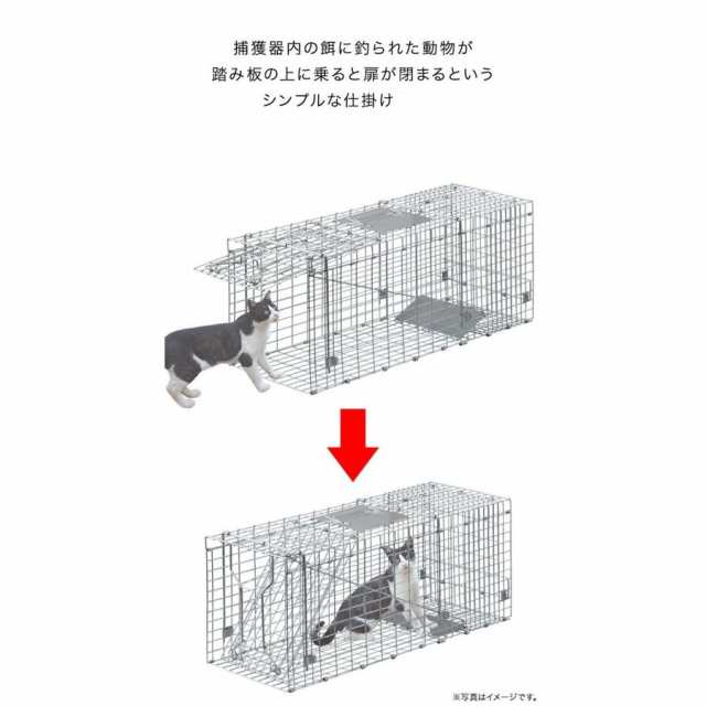 日本限定 猫捕獲器 Ｌ アニマルキャッチャー www.mdsmexico.com