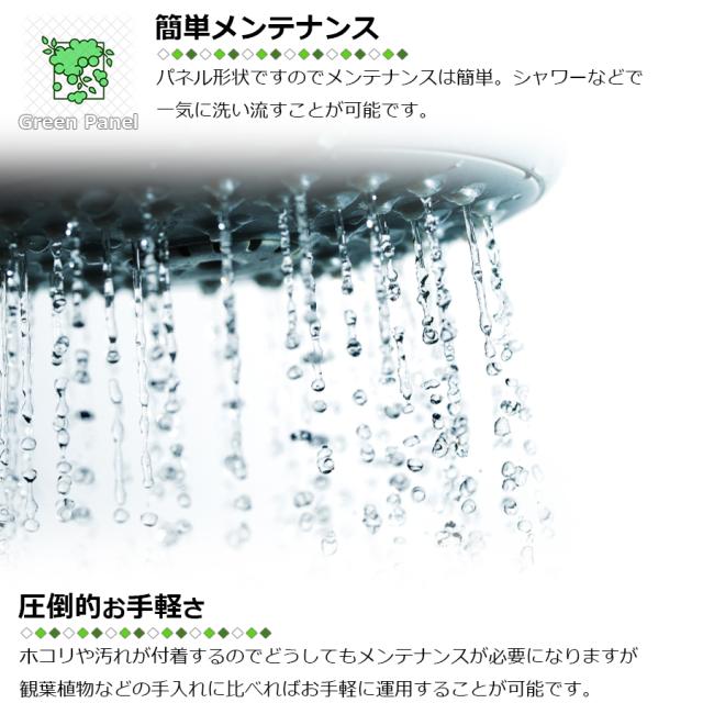 壁掛け フェイクグリーン 50×50cm 同種類 3枚セット ウォールグリーン グリーンパネル 壁面緑化 壁 造花 人工植物 人工 観葉植物 壁飾り 模様替え フェンス 目隠し 飾り物 装飾 インテリア パネル ボード DIY トイレ オフィス 区分80S NP-043の通販は