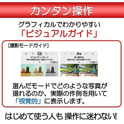 キヤノン Canon EOS kiss X9i ダブルレンズセット デジタル 一眼レフ カメラ 中古_3