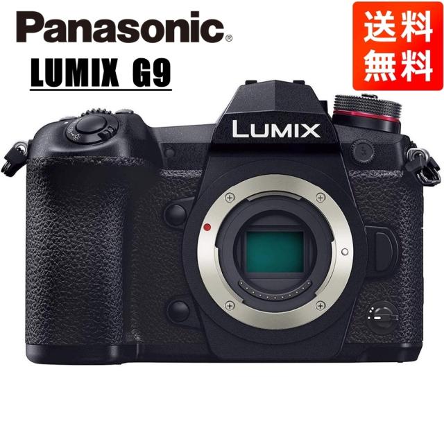 Panasonic LUMIX GF35-100 ミラーレスカメラ