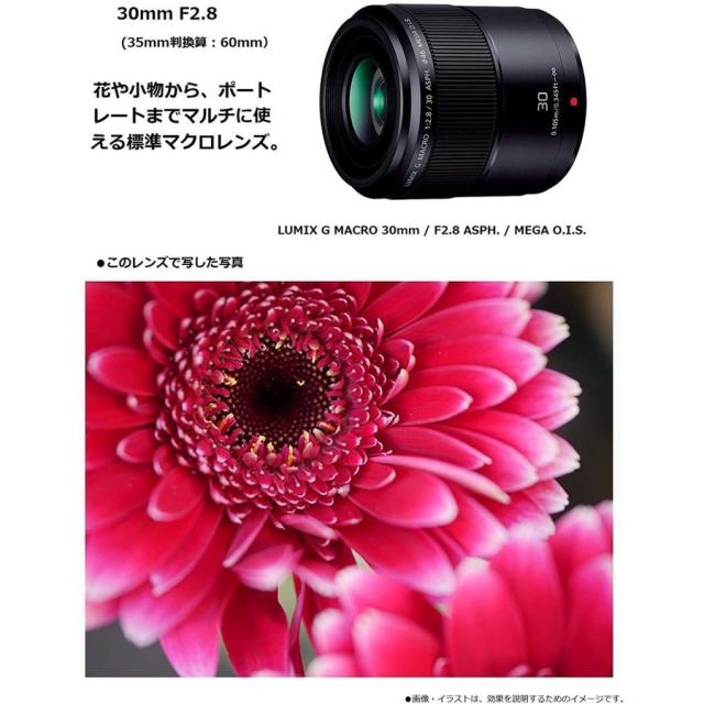 LUMIX G MACRO 30mm/F2.8 H-HS030 パナソニック Panasonic LUMIX G
