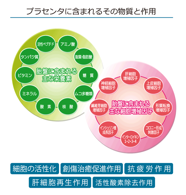 コルディプラス プラセンタ12000（国産SPF豚プラセンタエキス末12000