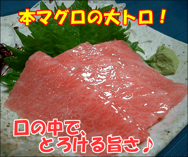 マグロ 大トロ 腹身 750g UP まぐろ 送料無料 北海道・沖縄へは別途送料 中央市場直送 とろ目利きの自信 財木品質 業務用 まぐろ トロ 大トロ_2