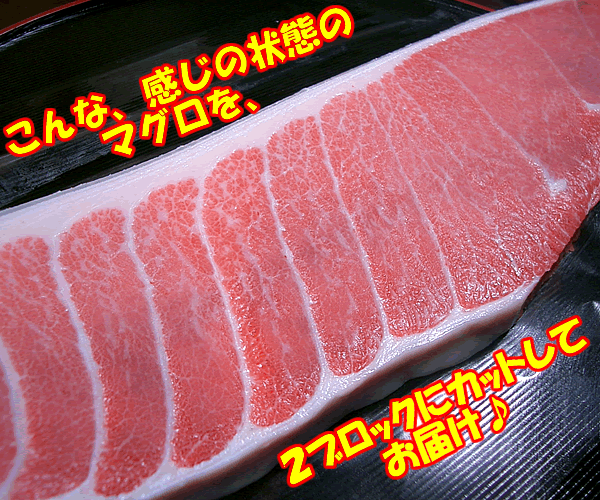 マグロ 大トロ 腹身 750g UP まぐろ 送料無料 北海道・沖縄へは別途送料 中央市場直送 とろ目利きの自信 財木品質 業務用 まぐろ トロ 大トロ_1