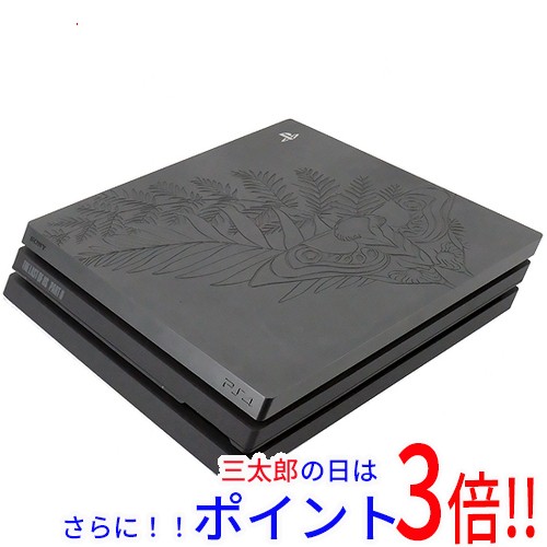 【中古即納】送料無料 SONY プレイステーション4 Pro 1TB The Last of Us Part II Limited Edition CUHJ-10034 本体のみ