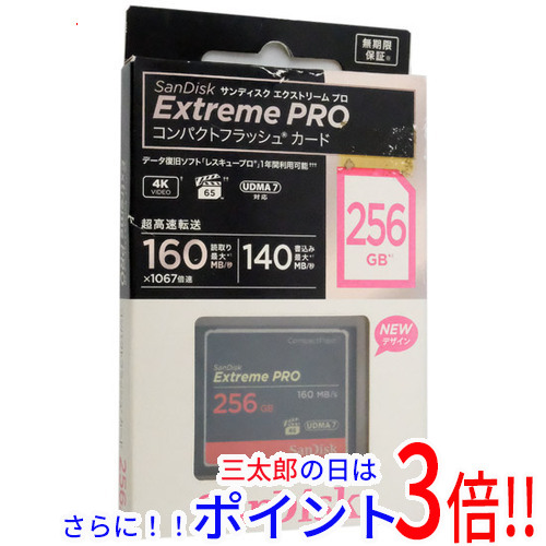 SDCFXPS-256G-J61 [256GB] サンデスク コンパクトフラッシ
