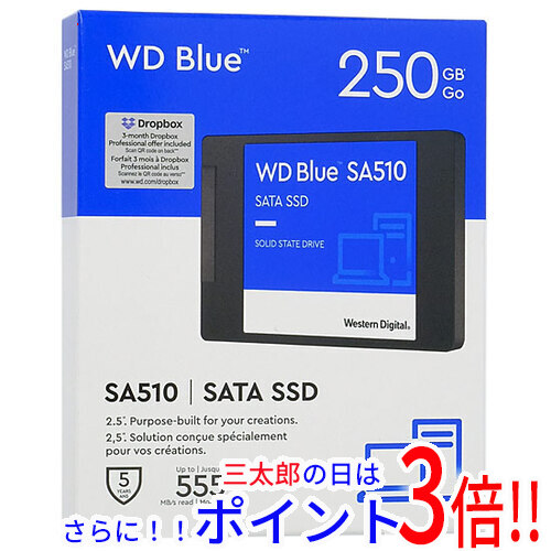 【新品】送料無料 Western Digital SSD WD Blue SA510 SATA WDS250G3B0A-EC 250GB