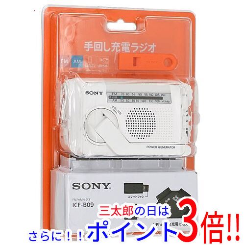 1日と三太郎の日はポイント3倍!!】【新品即納】送料無料 1日と三太郎の日はポイント3倍!!】【新品即納】送料無料