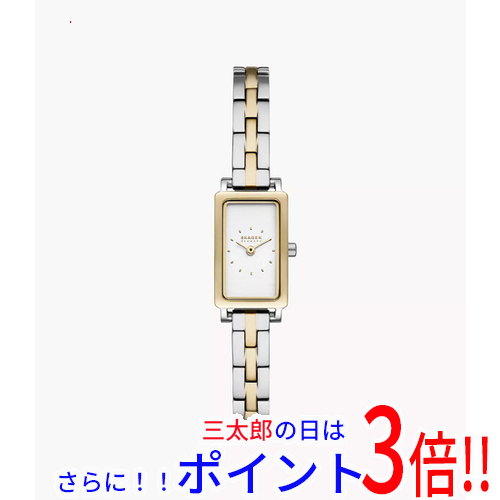 【新品】送料無料 スカーゲン 腕時計 HAGEN MICRO SKW3155