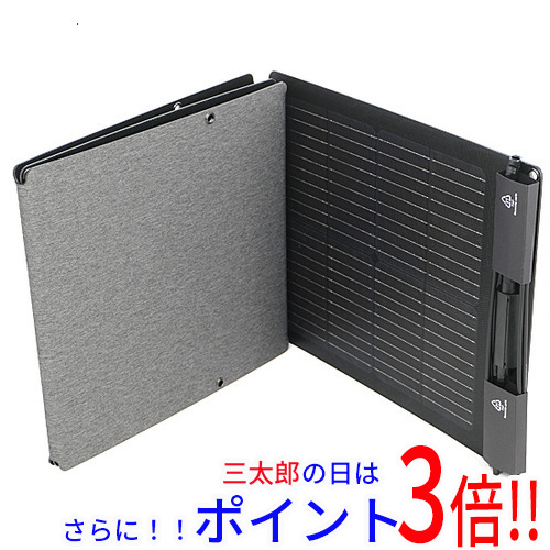 【１日と三太郎の日はポイント３倍！！】【新品】送料無料 EcoFlow 110Wソーラーチャージャー EFSOLAR110N