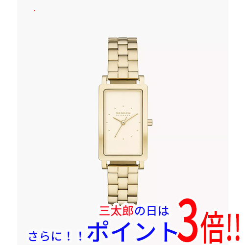 【新品】送料無料 スカーゲン 腕時計 HAGEN LILLE SKW3098