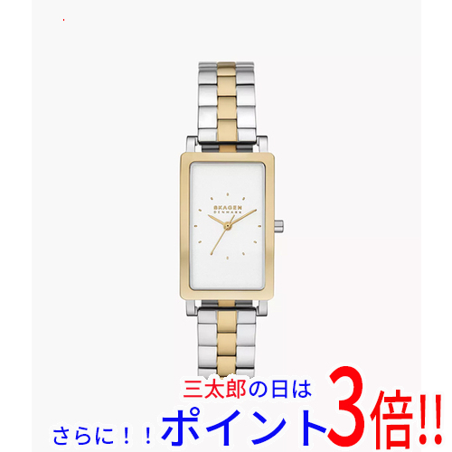 【新品】送料無料 スカーゲン 腕時計 HAGEN LILLE SKW3156