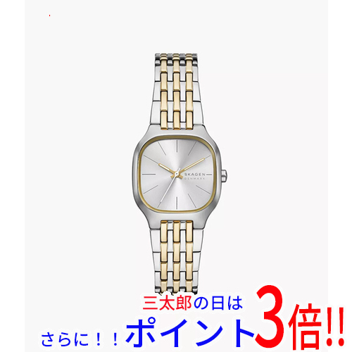【新品】送料無料 スカーゲン 腕時計 MELLEM LILLE SKW3160