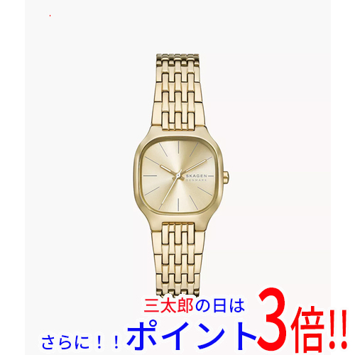 【新品】送料無料 スカーゲン 腕時計 MELLEM LILLE SKW3162