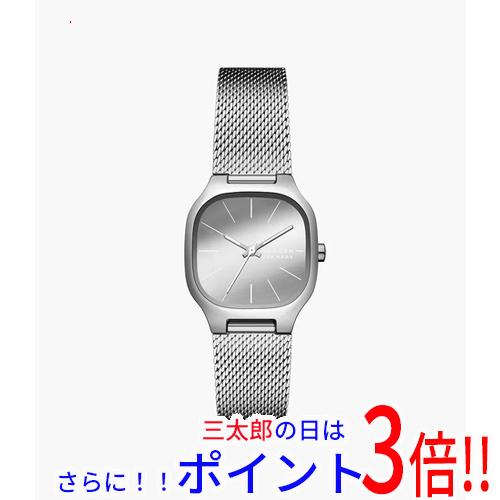 【新品】送料無料 スカーゲン 腕時計 MELLEM LILLE SKW3163