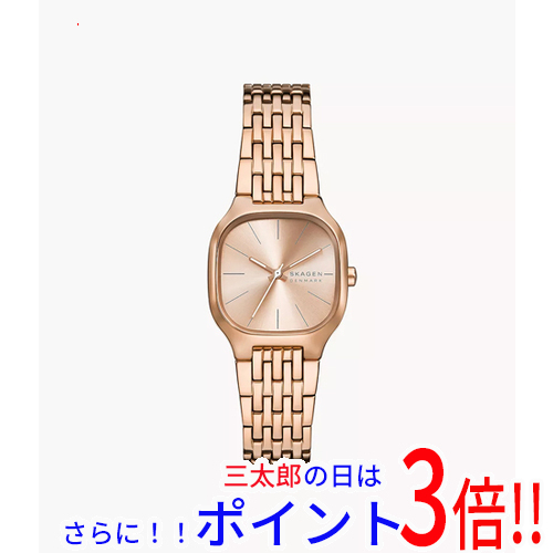 【新品】送料無料 スカーゲン 腕時計 MELLEM LILLE SKW3166