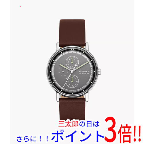 【新品】貨物輸送無料 スカーゲン ウオッチ SIGNATUR SKW6941