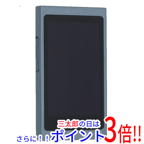 SONY ウォークマン NW-45 ムーンリットブルー SONY NW-A45 (L) [16GB