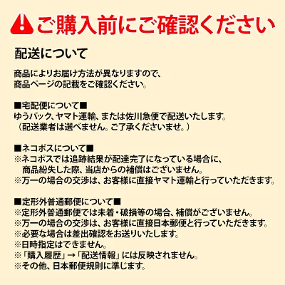 2個セット SHISEIDO メーキャップ エッセンス スキングロウ 160 Shell ファンデーション レフィル 詰替え 30mL 資生堂 追跡可能メール便発送_4