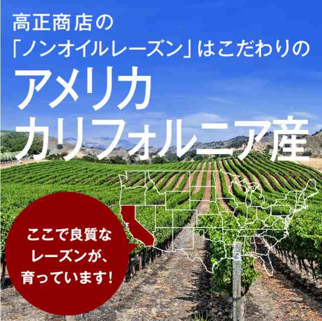 ノンオイルレーズン800g【送料無料】アメリカカリフォルニア産 無保存料 無糖 無着色 食物繊維たっぷり☆美容に◎パン・お菓子作りに♪ の通販はau  PAY マーケット ドライフルーツナッツの高正商店 au PAY マーケット－通販サイト