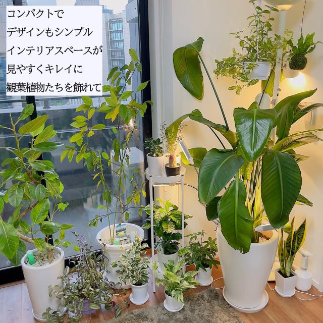 フラワースタンド 室内 園芸ラック アイアン 2段式 80cm 園芸ラック