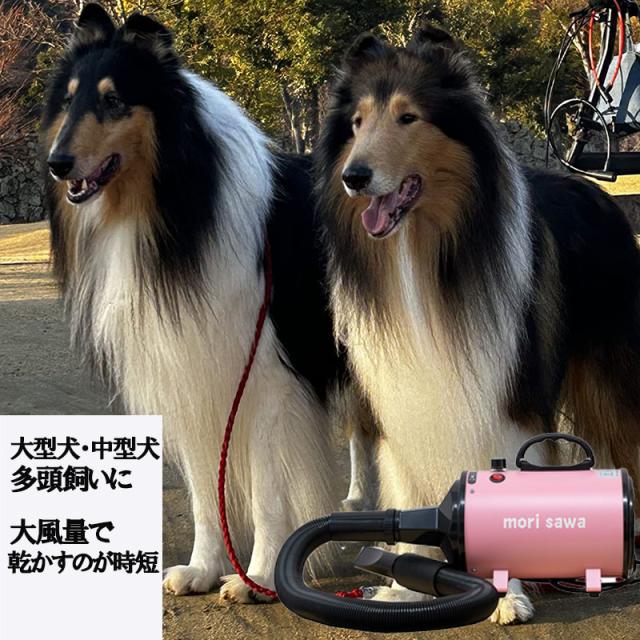 ペットドライヤー 大風量 家庭用 犬ドライヤー 大型犬 ペットブロワー 業務用 速乾 温度調整 風量無段階 犬トリミング 中型犬_12