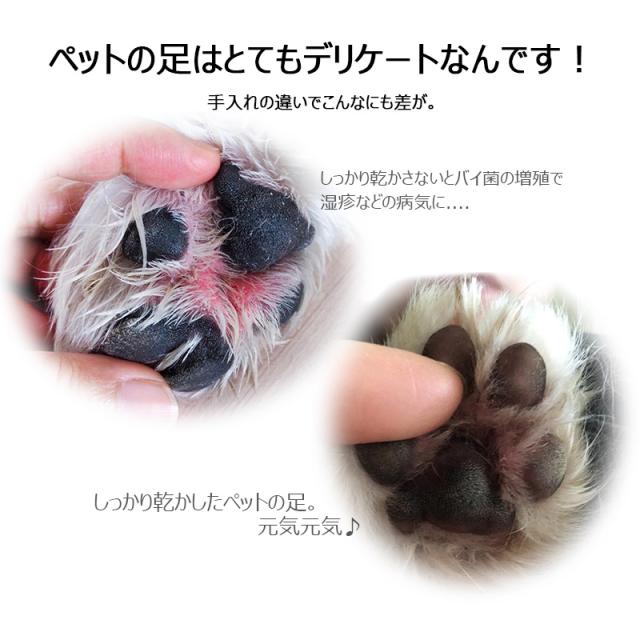 ペットドライヤー 大風量 家庭用 犬ドライヤー 大型犬 ペットブロワー 業務用 速乾 温度調整 風量無段階 犬トリミング 中型犬_4