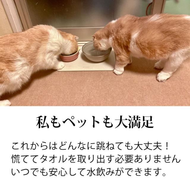 トスレ ペット専用 珪藻土 水飲み 吸水 マット レギュラー 犬 ネコ トレイ 北海道稚内珪藻土 水切り トレー アスベストなし おしゃれ 小型 中型 猫 いぬ グッズ 給水器 ウォーター スタンド 水飲み器 受け皿 乾燥 湿気取り 食器 留守番 皿 ボウル 日本製_3