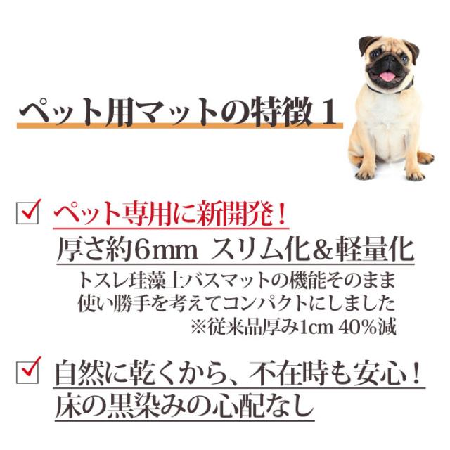 トスレ ペット専用 珪藻土 水飲み 吸水 マット レギュラー 犬 ネコ トレイ 北海道稚内珪藻土 水切り トレー アスベストなし おしゃれ 小型 中型 猫 いぬ グッズ 給水器 ウォーター スタンド 水飲み器 受け皿 乾燥 湿気取り 食器 留守番 皿 ボウル 日本製_4