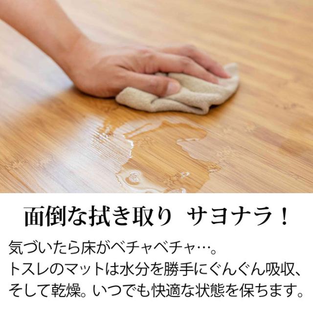トスレ ペット専用 珪藻土 水飲み 吸水 マット レギュラー 犬 ネコ トレイ 北海道稚内珪藻土 水切り トレー アスベストなし おしゃれ 小型 中型 猫 いぬ グッズ 給水器 ウォーター スタンド 水飲み器 受け皿 乾燥 湿気取り 食器 留守番 皿 ボウル 日本製_2